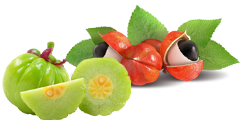 Guarana i Garcinia Cambogia